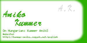 aniko kummer business card